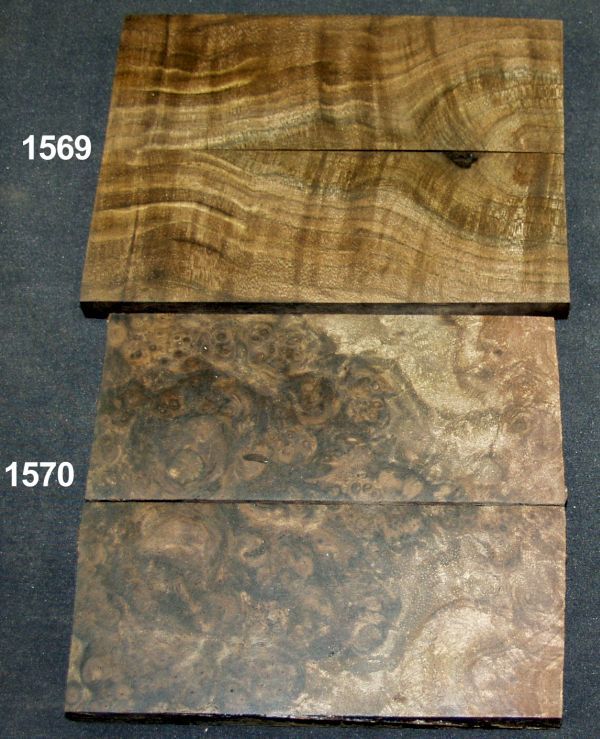 3b-13.jpg