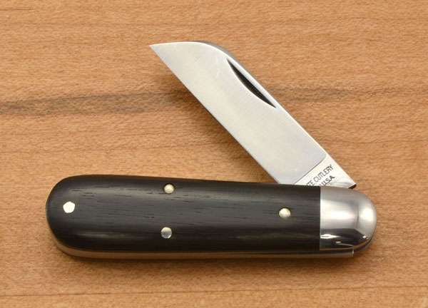 gec250320138.jpg