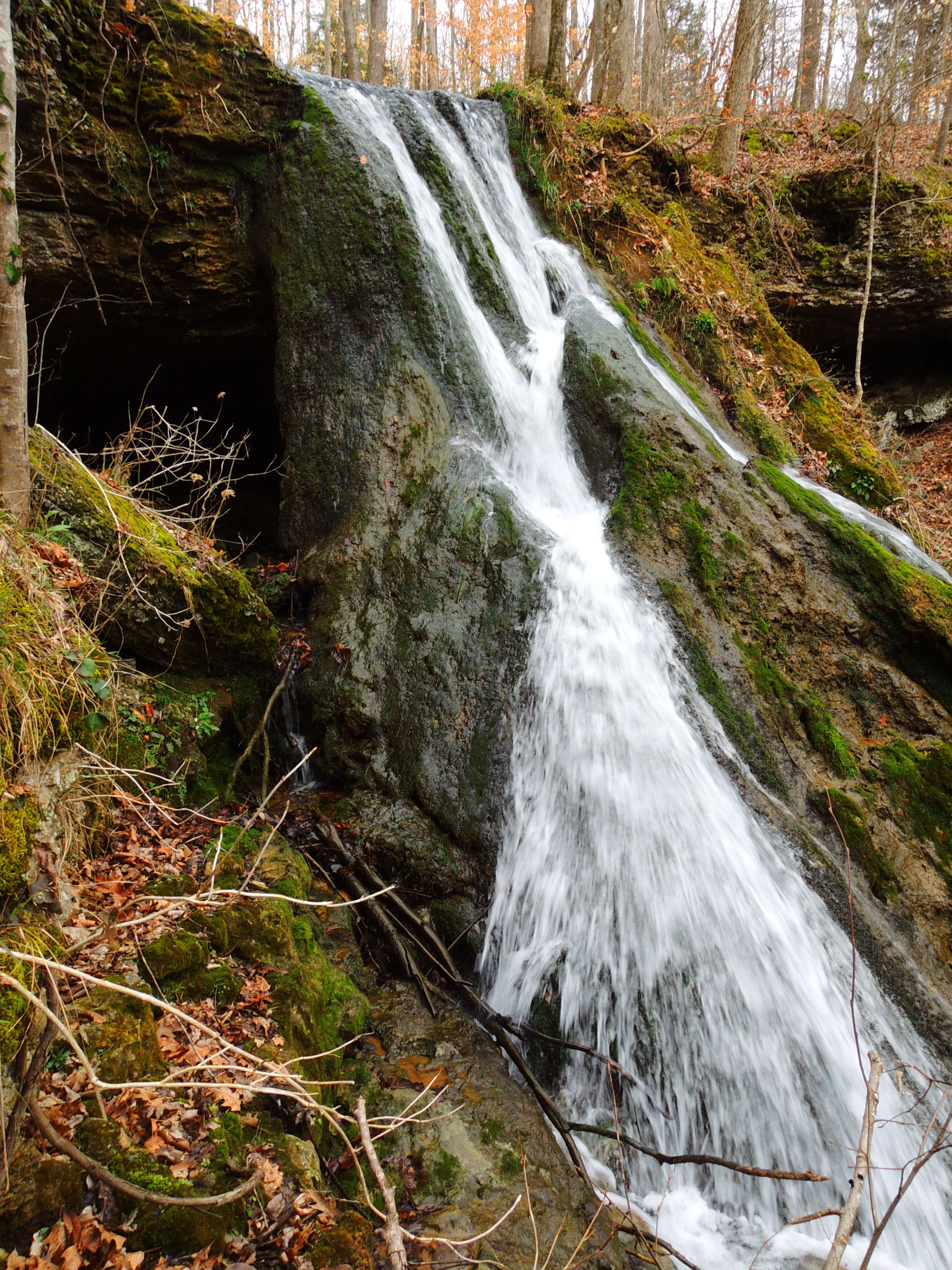 dscn8575.jpg