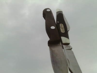 IMAG0767.JPG