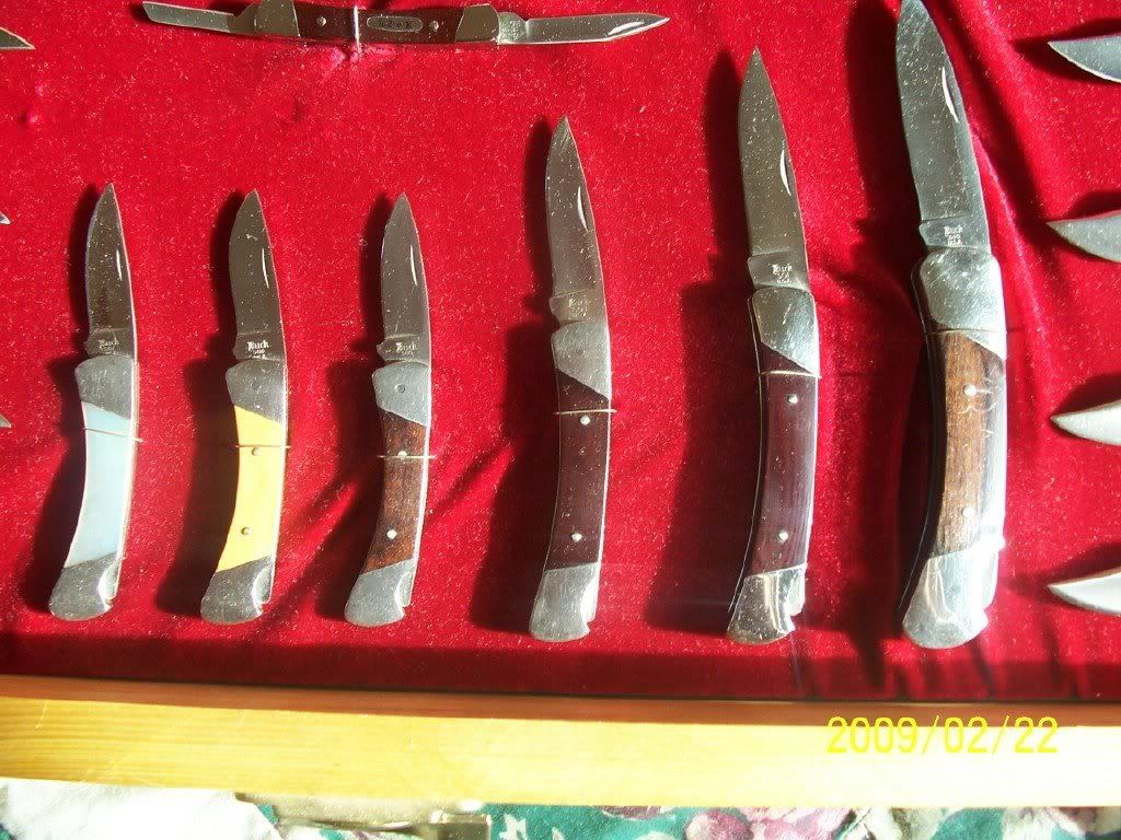 davidmicarta.jpg