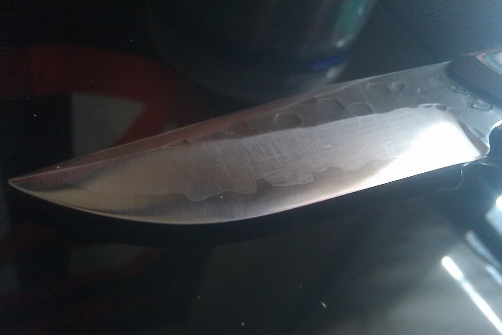 IMAG0263.jpg