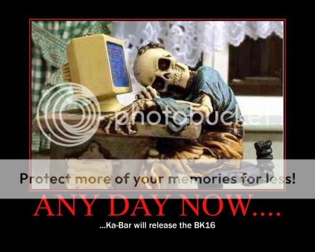 anydaynow.jpg