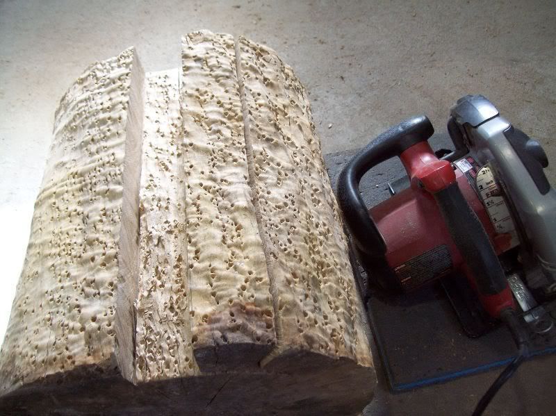 cuttingbirdseye1a.jpg