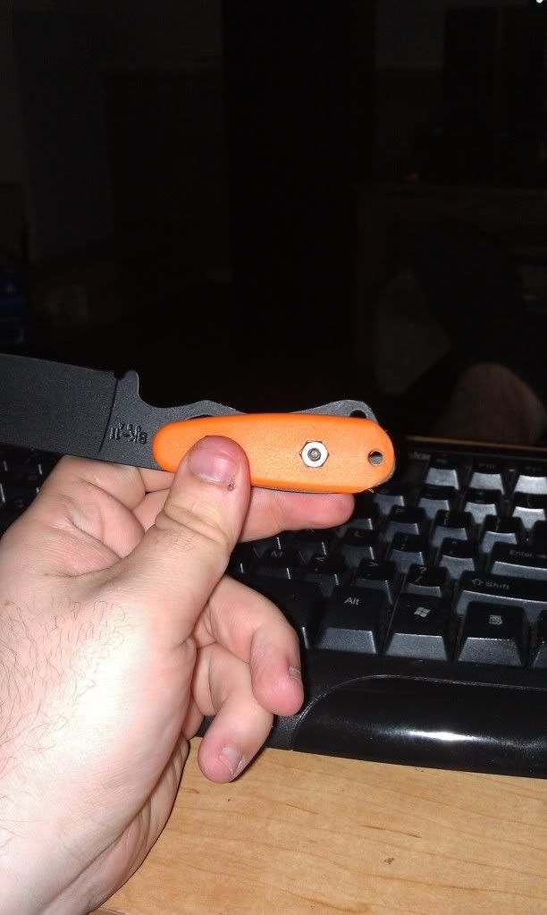IMAG0201.jpg