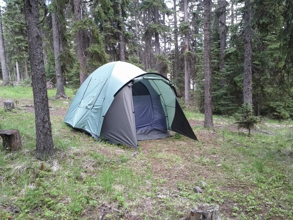 IMG_20110611_1551441024x768.jpg