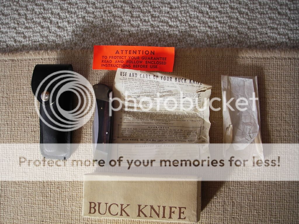 buck1.jpg