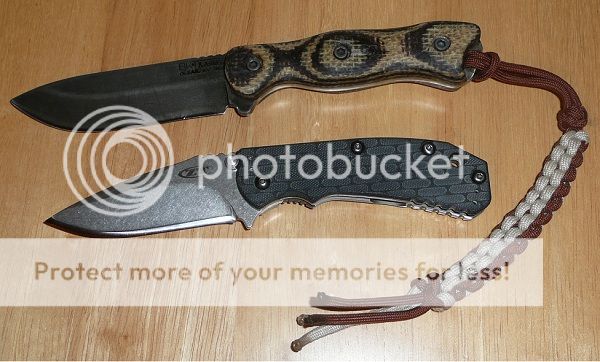16andstock0551.jpg