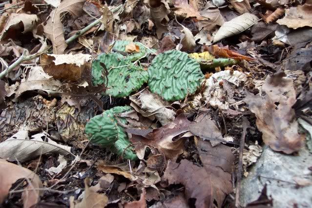 100_1330_00.jpg