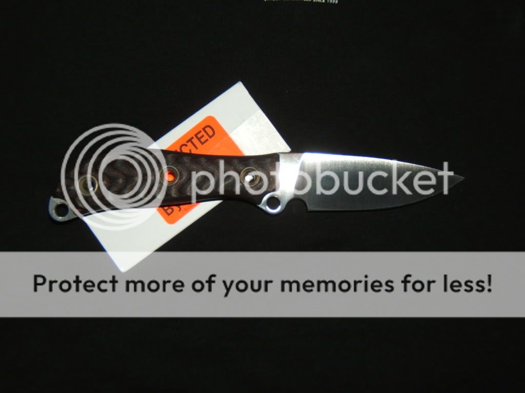 2008_1105SR_BAD_SMF0003.jpg