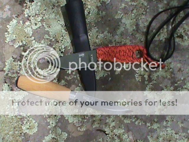 DSC00306.jpg