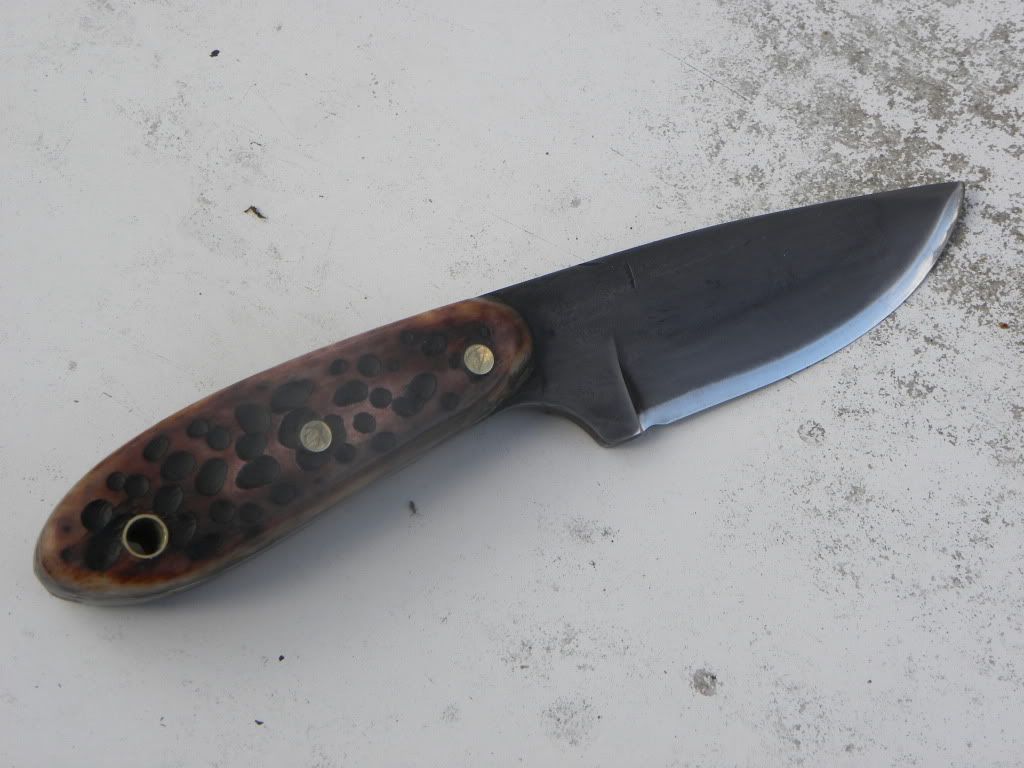 DSCN1407.jpg
