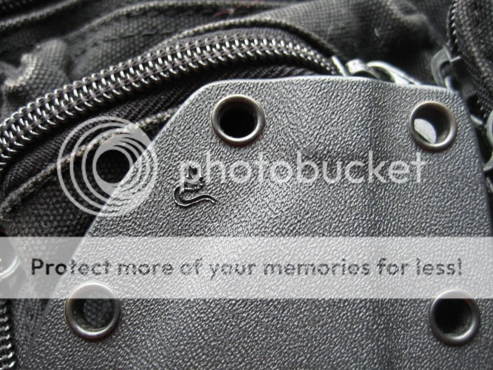 Mashedcatsheath_zps54173004.jpg