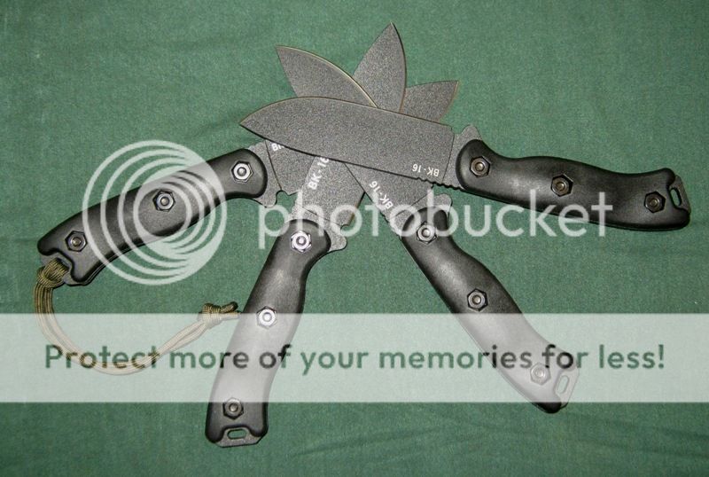 bk16_zps8e17970a.jpg