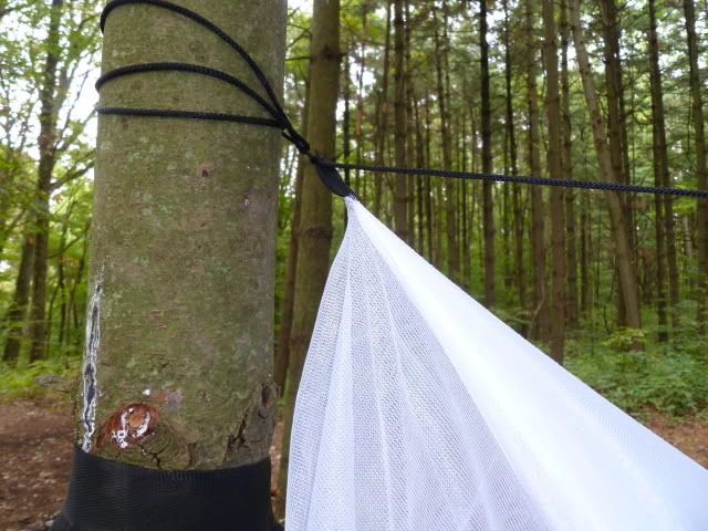 P1010367.jpg