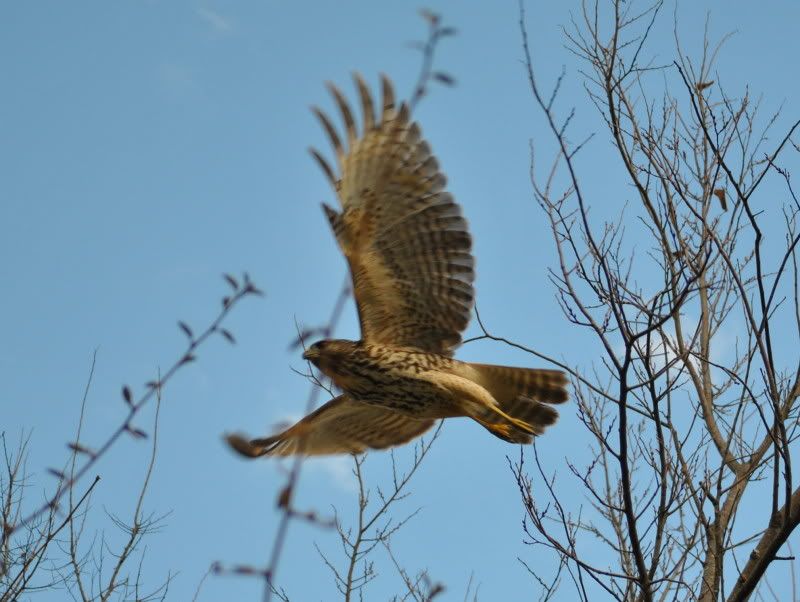 DSC_8446.jpg