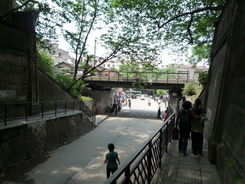 P1060899.jpg