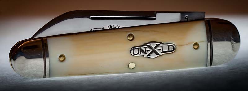 ivory1a.jpg