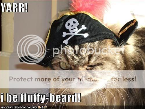 funny-pictures-pirate-cat.jpg