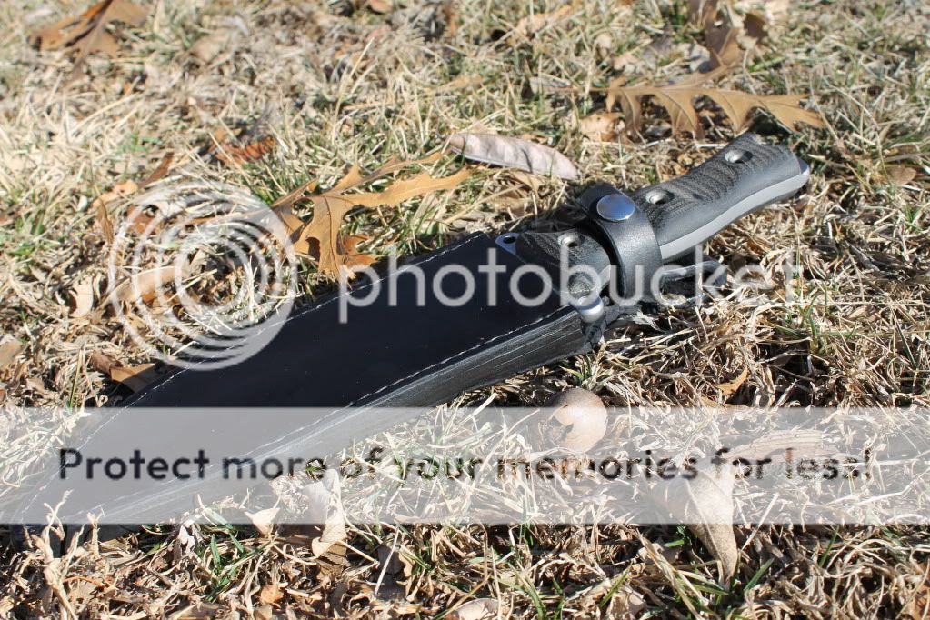 IMG_2103_zps84cc62b0.jpg