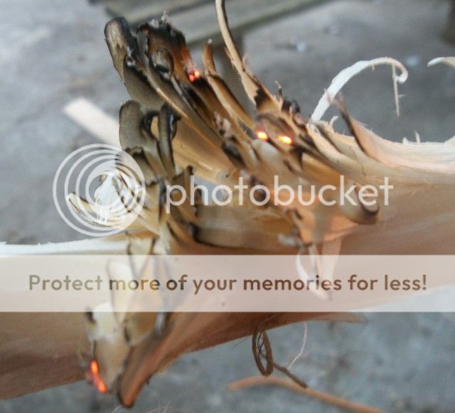 100_2083.jpg