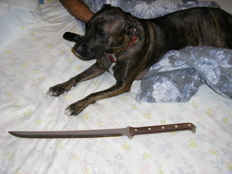 AK47003.jpg