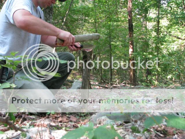 IMG_1270.jpg
