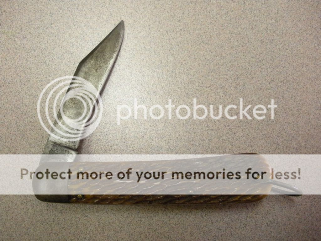 DSCN2051.jpg