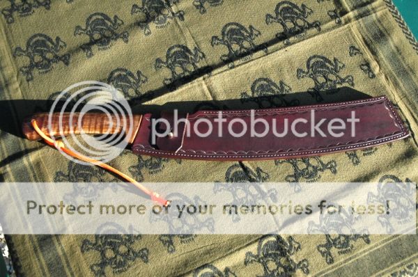 DSC_0258_zps26be4215.jpg
