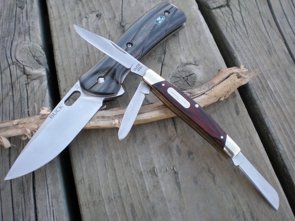 buckses002.jpg