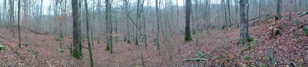 IMG_20141228_100819_panorama.jpg