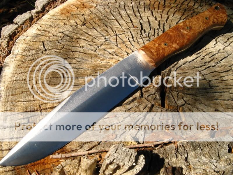 IMG_6455.jpg
