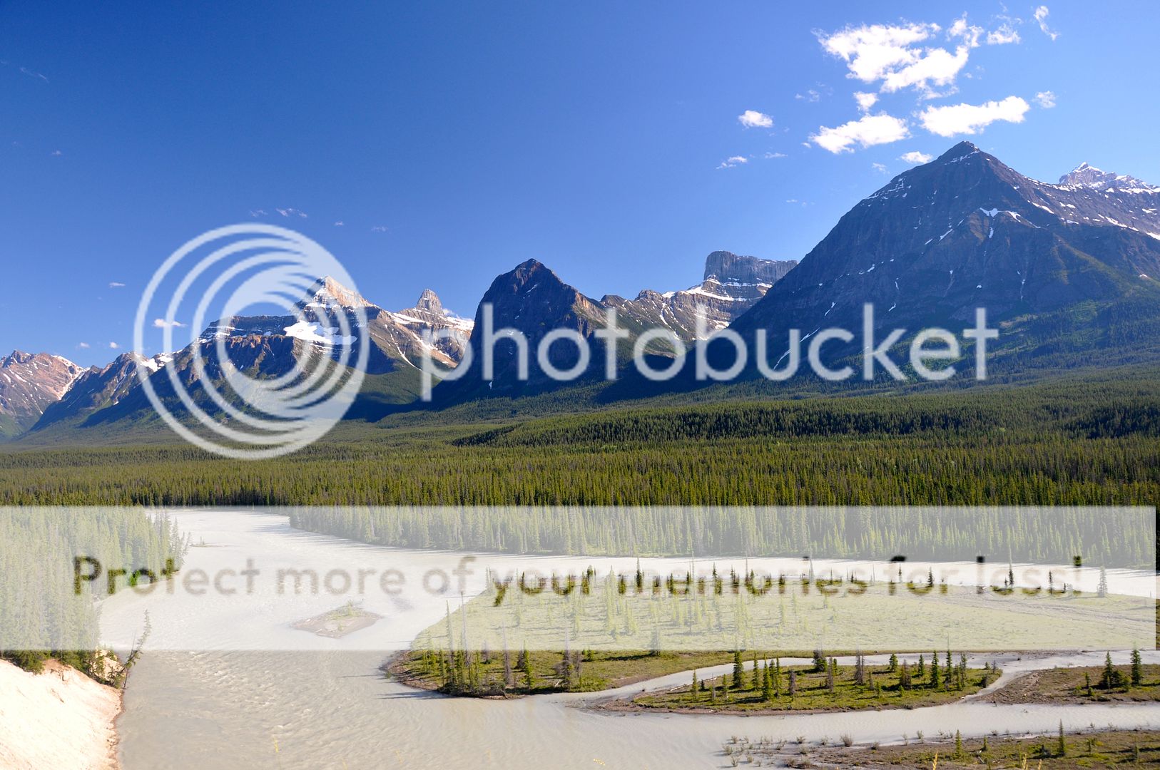 DSC_0313_zpslwhfpo4w.jpg