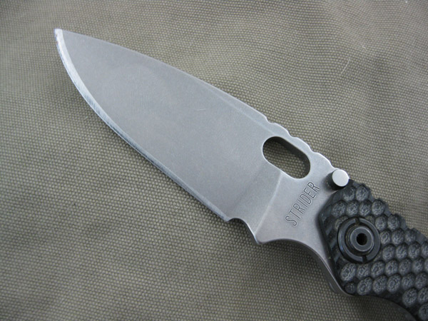 StriderDGG_SnG_009.jpg