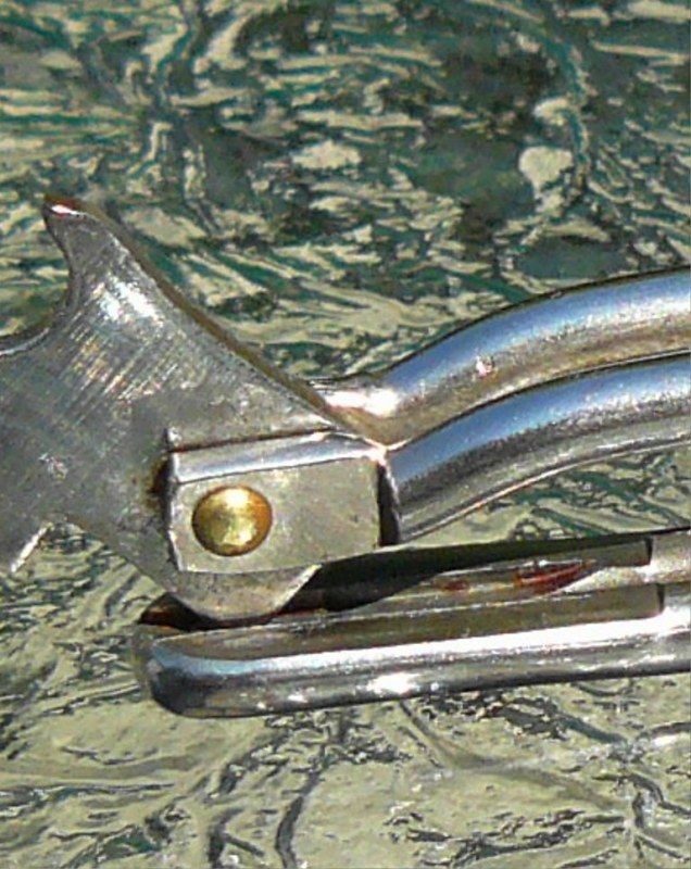 09-07-2012096.jpg