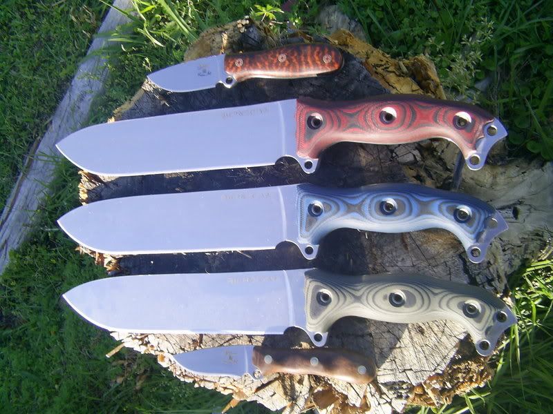 ebaypics497.jpg