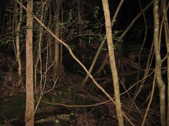 IMG_1071.jpg