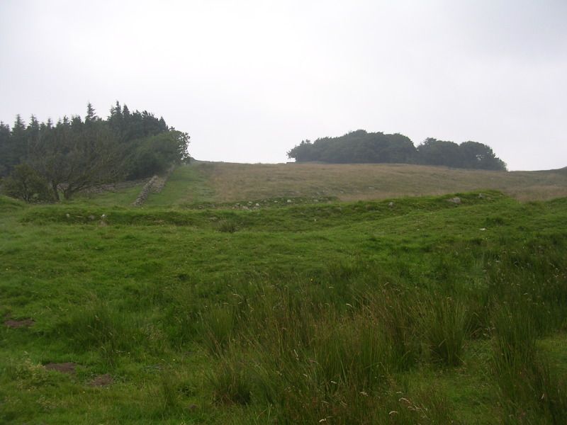 DSCN4466.jpg