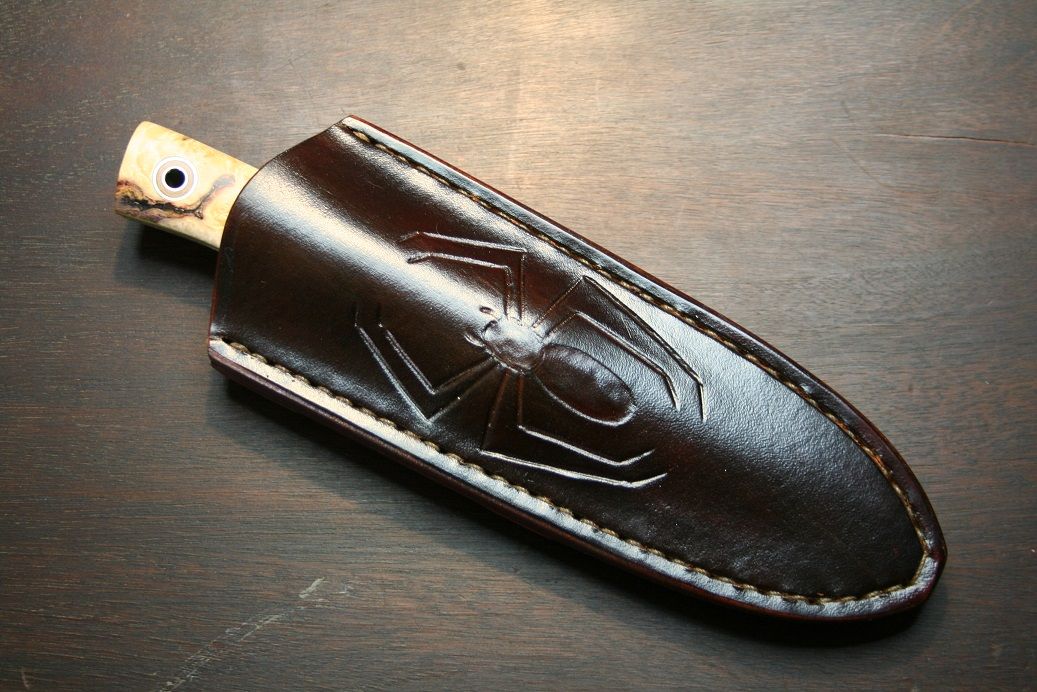 sheath_recluse_1.jpg