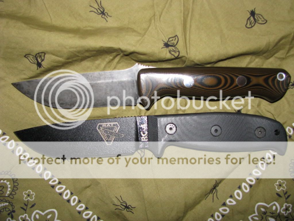 necklaceanddog020.jpg