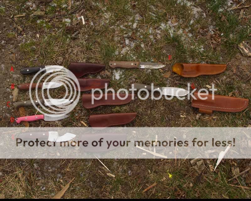 IMG_0721.jpg