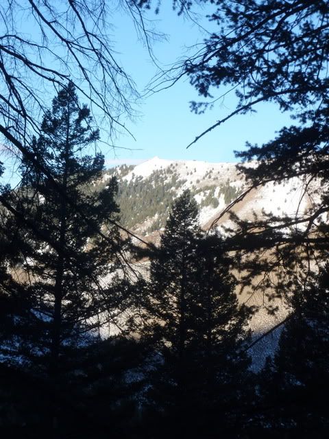 P1020255.jpg