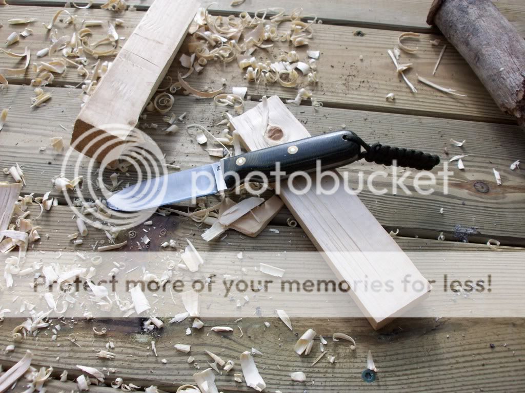100_2572.jpg