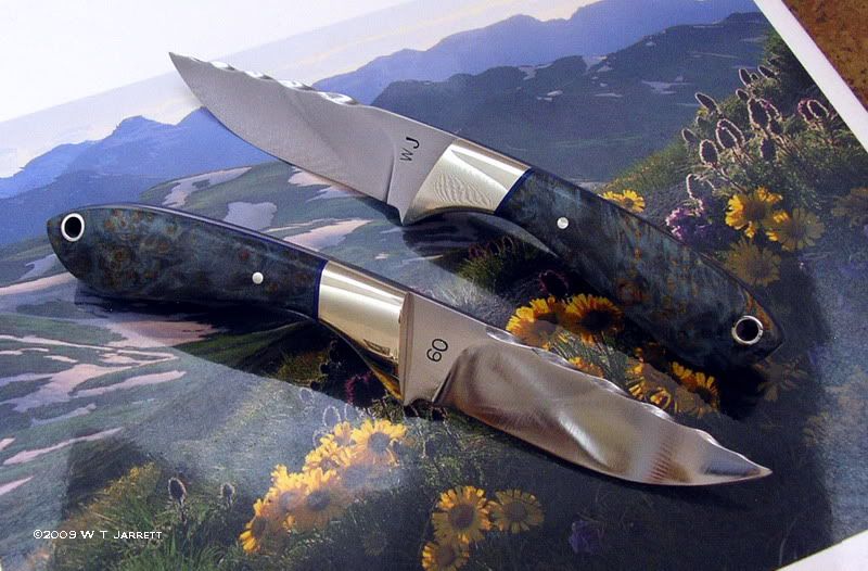 800BFKestrelComp1.jpg