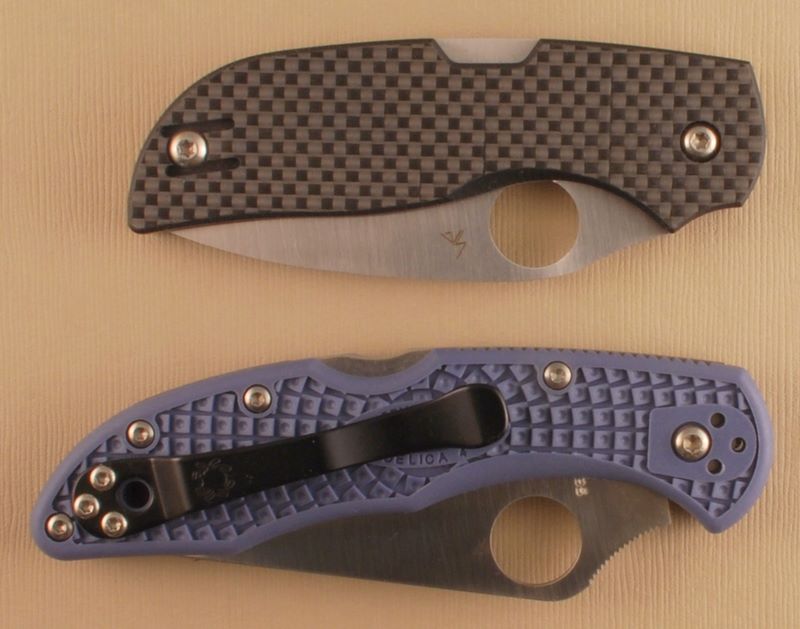 chaparral_delica_comp_2.jpg