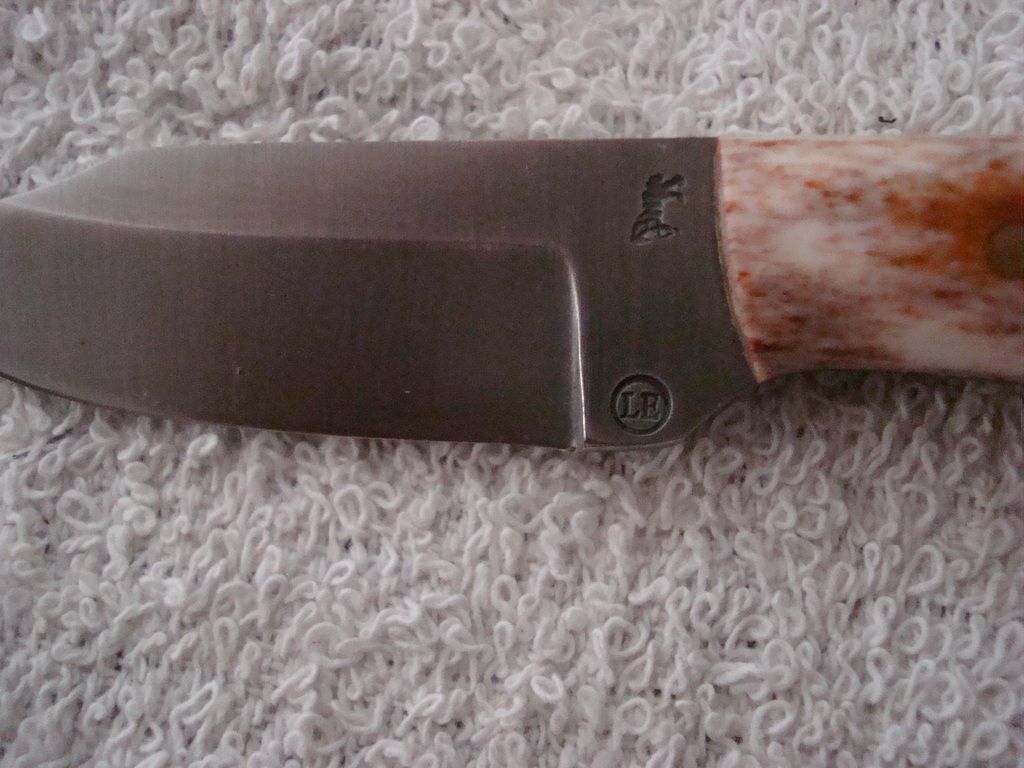 DSC07146_zps4c2vwoii.jpg