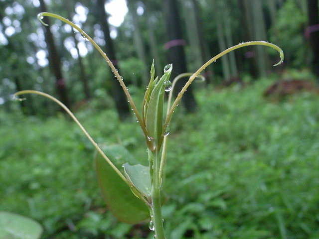 2011.05.30.R0024007.JPG
