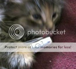 IMG_9879.jpg~original