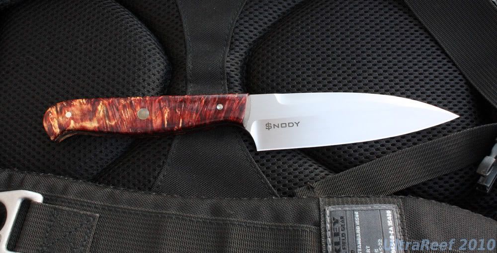 Sashimi_3a.jpg