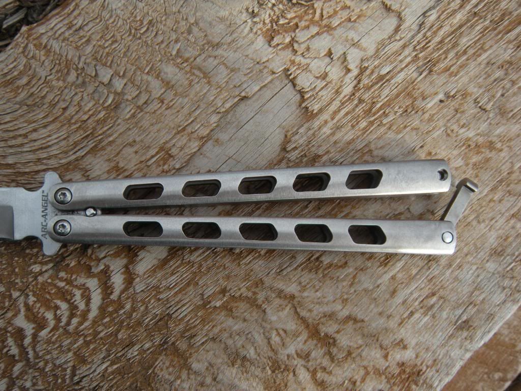 DSCN1528.jpg